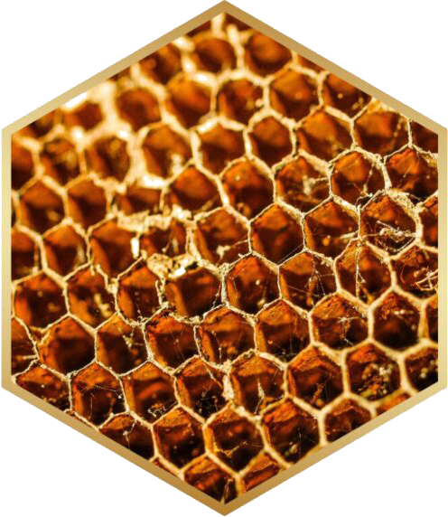 Honeycomb copy