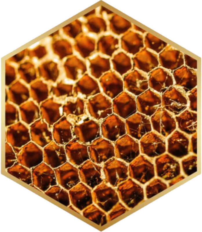 honeycomb_transparent